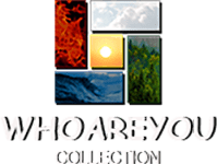 Logo New